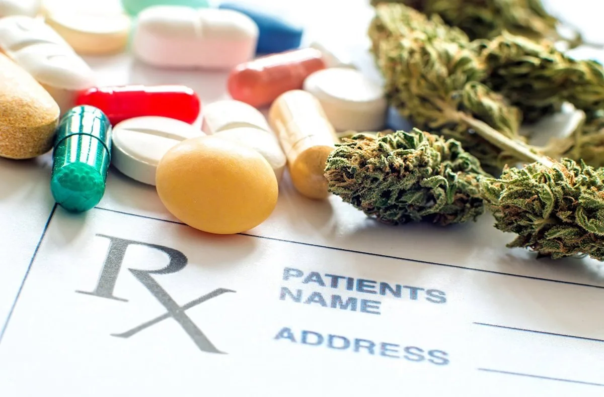 Expertos llaman a desmontar el mito del cannabis como sustancia terapéutica y a informar mejor sobre sus riesgos