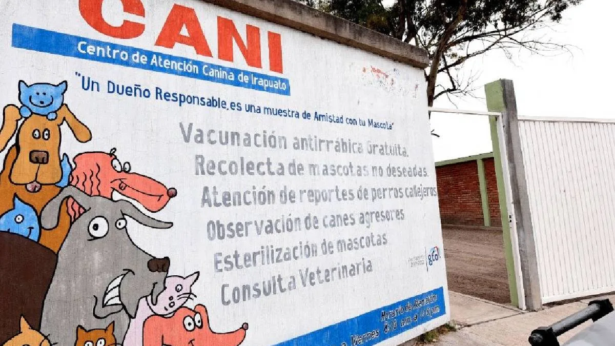 Alcaldesa de Irapuato defiende protocolos del CANI ante críticas por capturas de perros callejeros