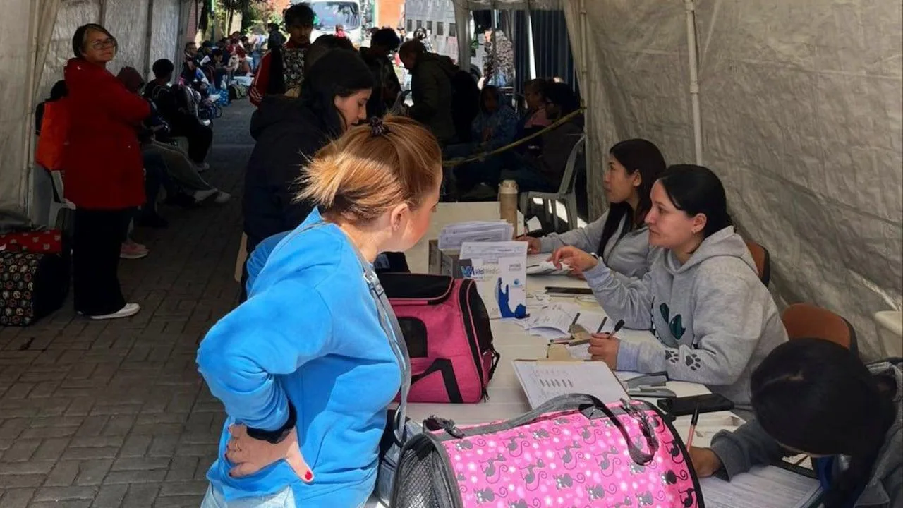 Campañas gratuitas de esterilización para controlar la población de mascotas en grandes ciudades