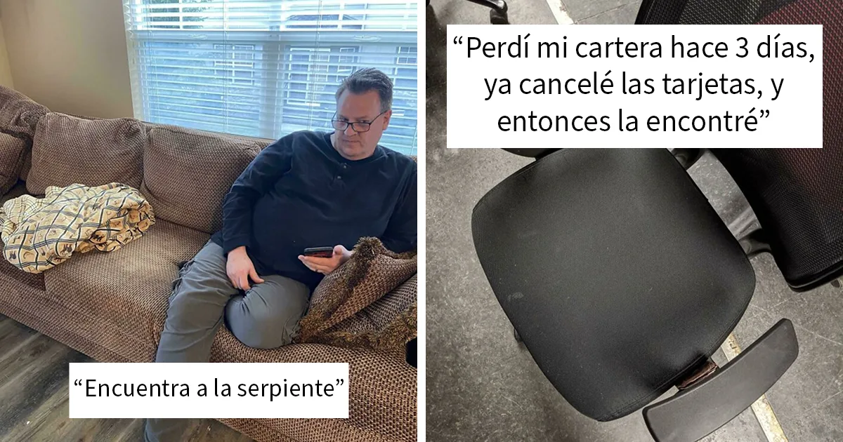 Imágenes cotidianas que esconden detalles sorprendentes al observar con atención