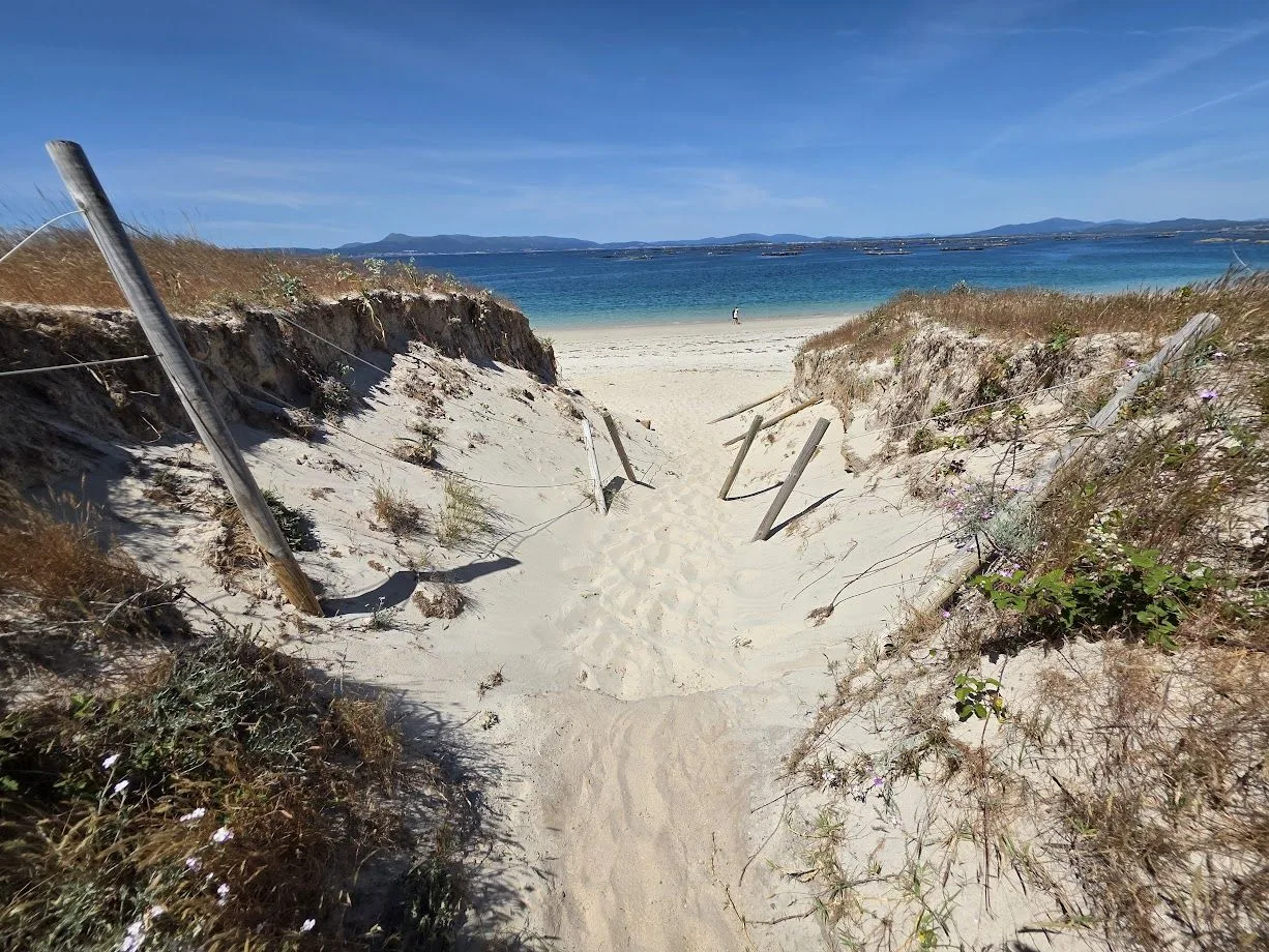 La playa de O Carreiro evidencia una notable recuperación de sus dunas tras medidas ambientales