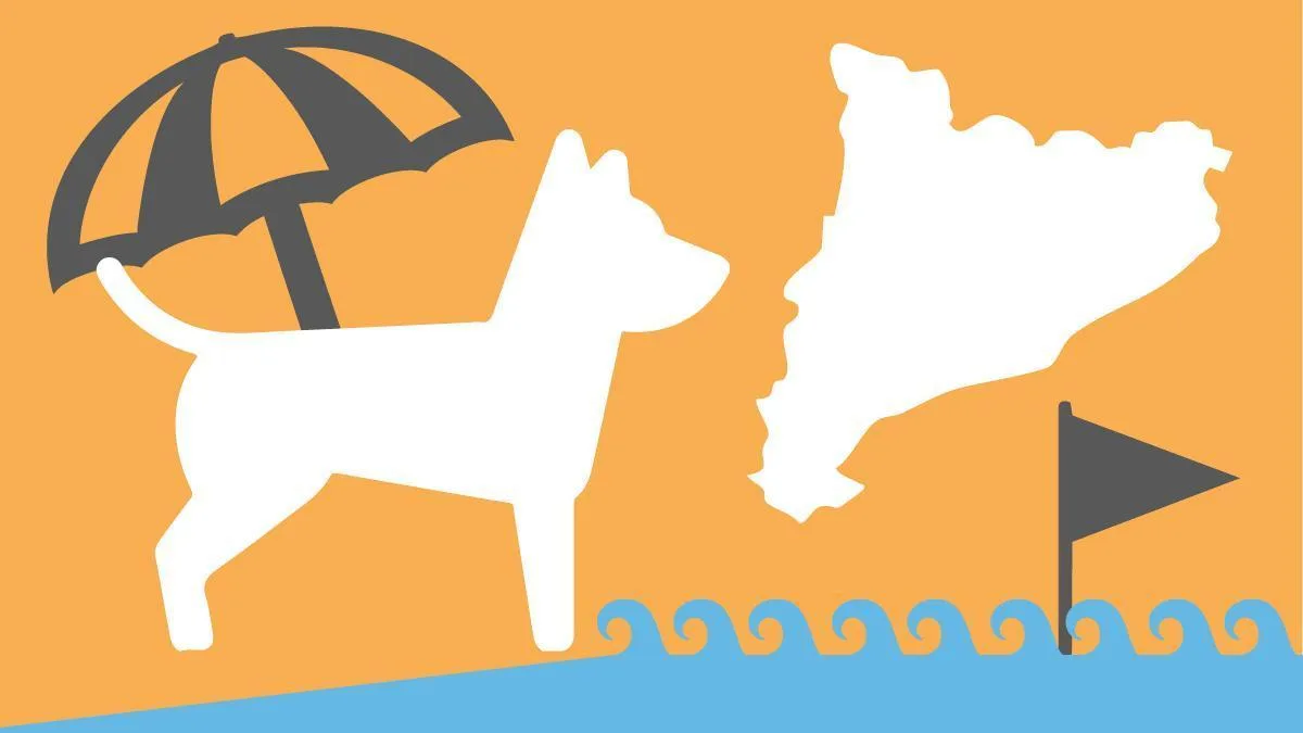 Las mejores playas en España para disfrutar con perros y sus normativas locales