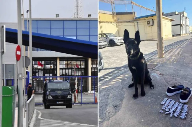 Perro antidroga de la Policía detiene a un hombre con 650 gramos de hachís en la frontera