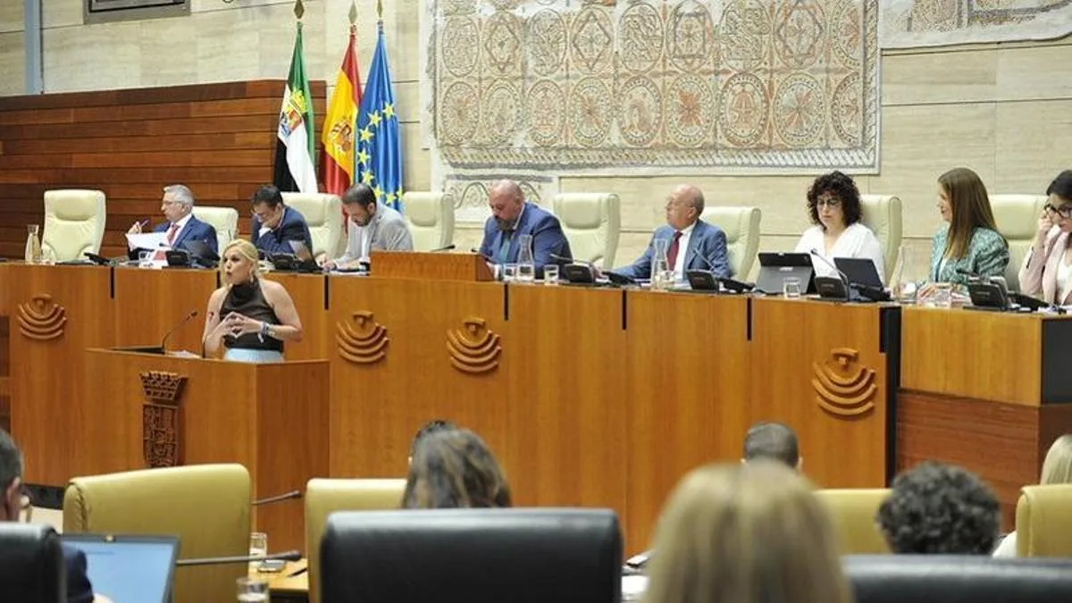 PSOE y Unidas por Extremadura presentan 600 enmiendas para modificar el presupuesto regional de 2026