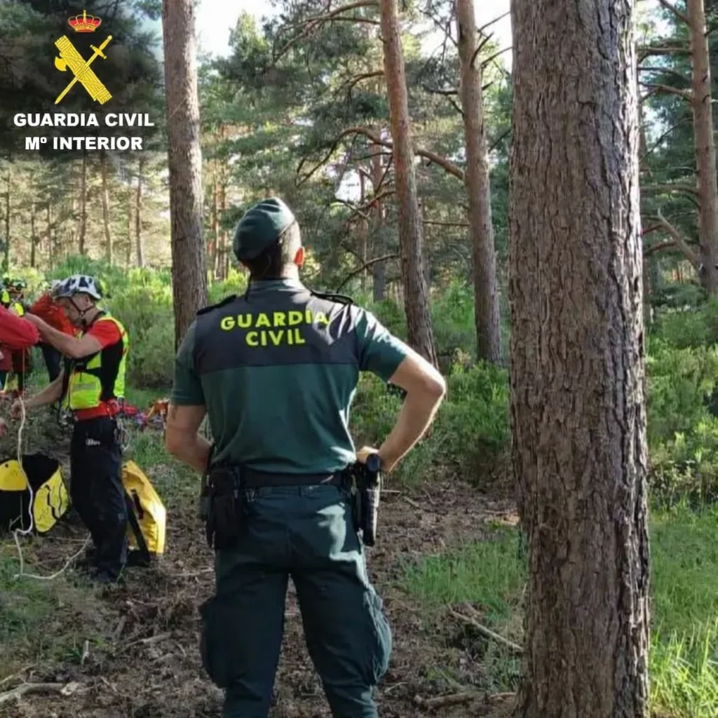 Rescatan a joven piloto de parapente tras quedar atrapado en árbol en Cerezo de Arriba