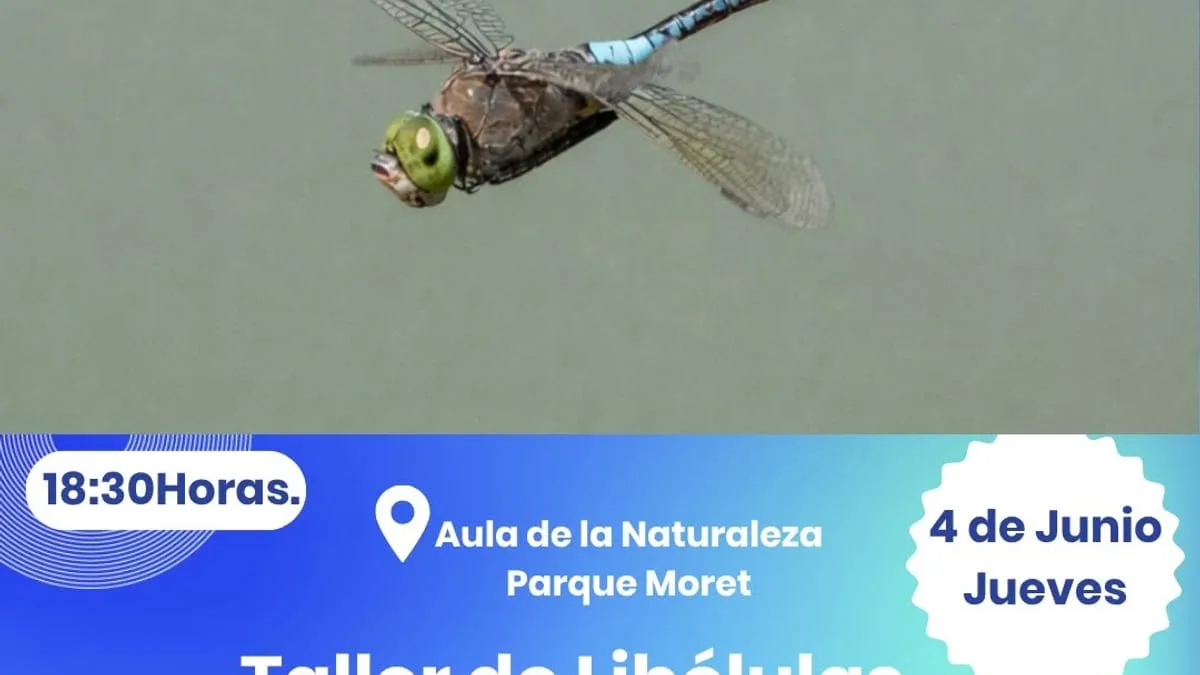 Taller sobre libélulas en el Parque Moret para explorar su rol ecológico