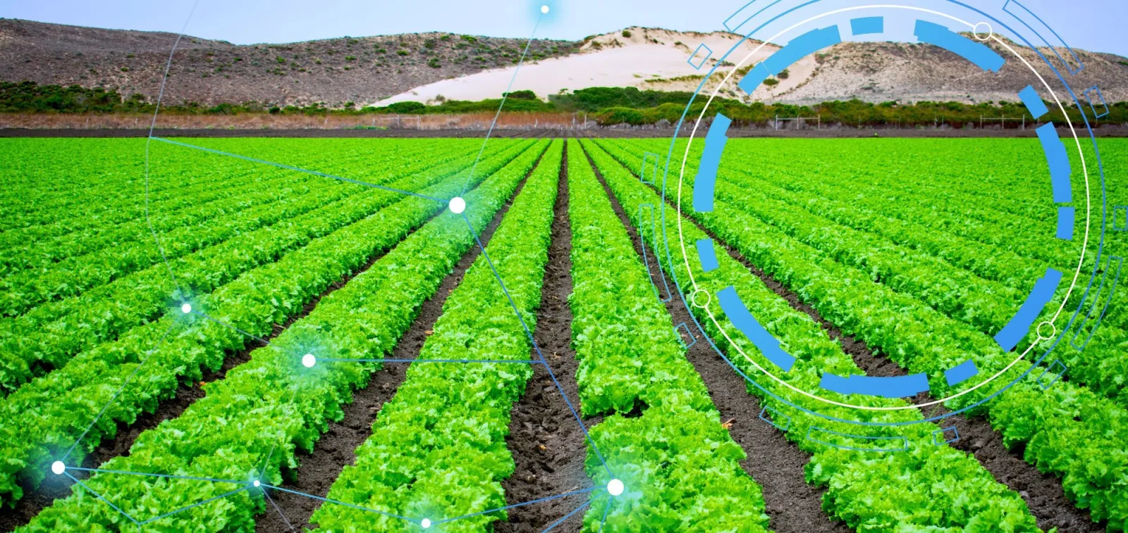Tecnologías digitales revolucionan la gestión de frutales y hortícolas en Murcia