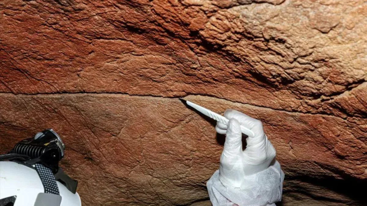 ADN humano antiguo encontrado en las paredes de cuevas revela nueva fuente histórica