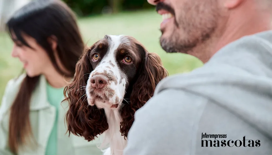 Boehringer Ingelheim impulsa campaña para prevenir zoonosis con enfoque en la anticipación