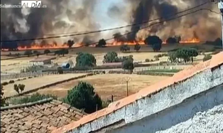 Colectivos de la España Vaciada exigen un Pacto de Estado para prevenir incendios forestales