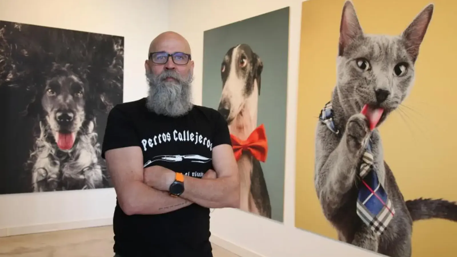 El abandono de perros en España mantiene cifras alarmantes pese a campañas y rescates