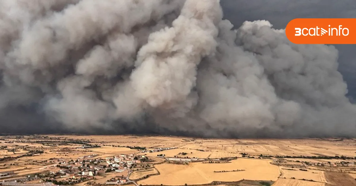 El aumento de incendios extremos está ligado al alza de temperaturas y la crisis climática