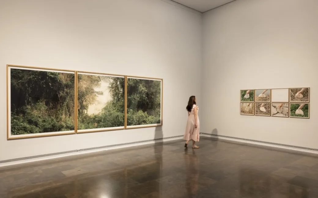 El IVAM revive la Albufera a través del arte cuatro décadas después