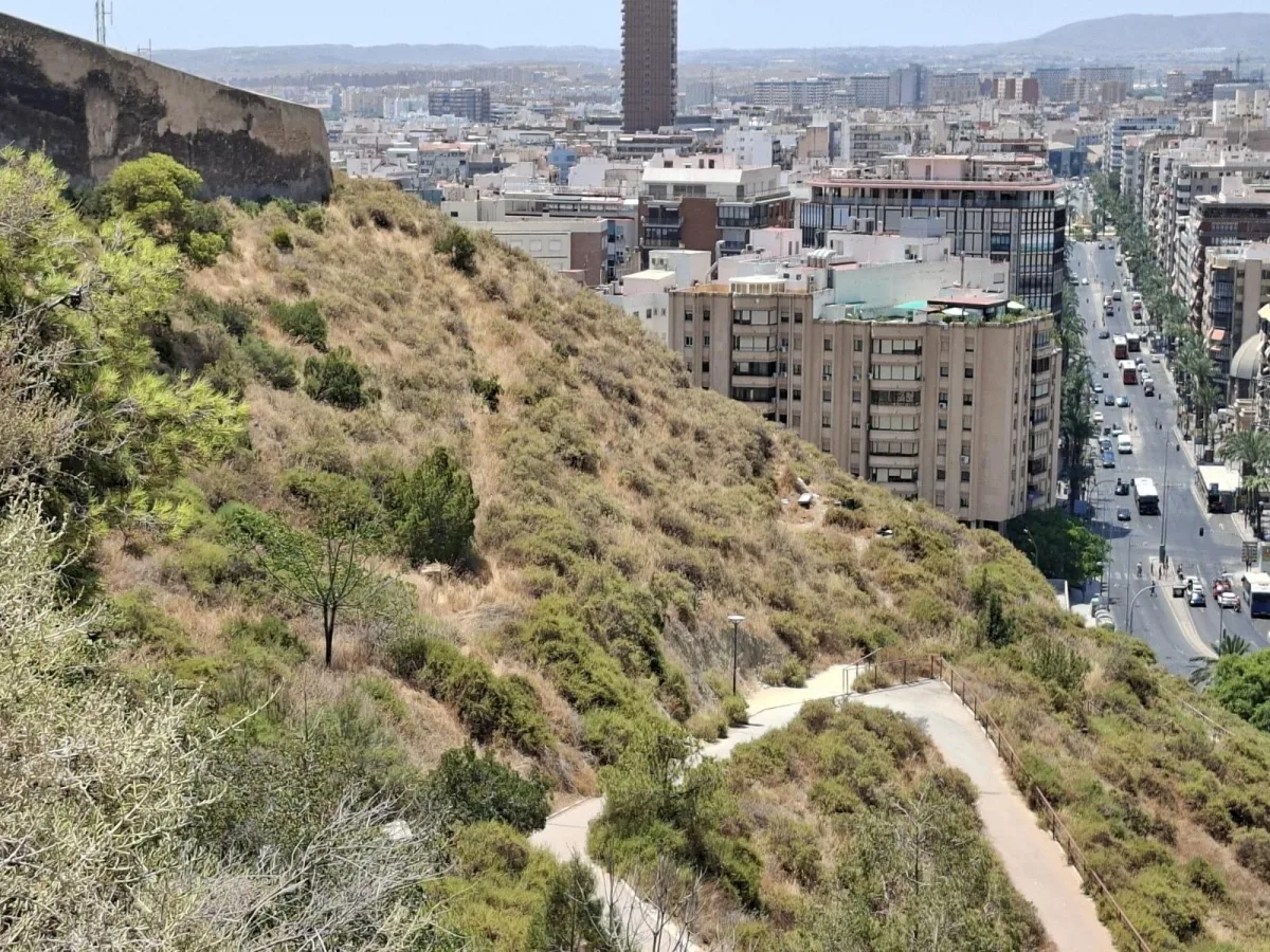 El PSOE denuncia que el descuido municipal aumenta el riesgo de incendios en Alicante