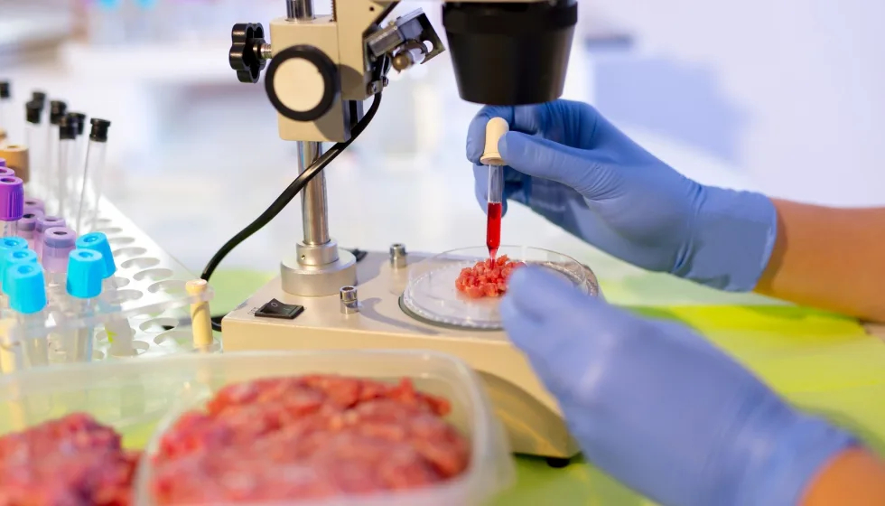 Extractos vegetales potencian nuevas carnes funcionales con beneficios para la salud