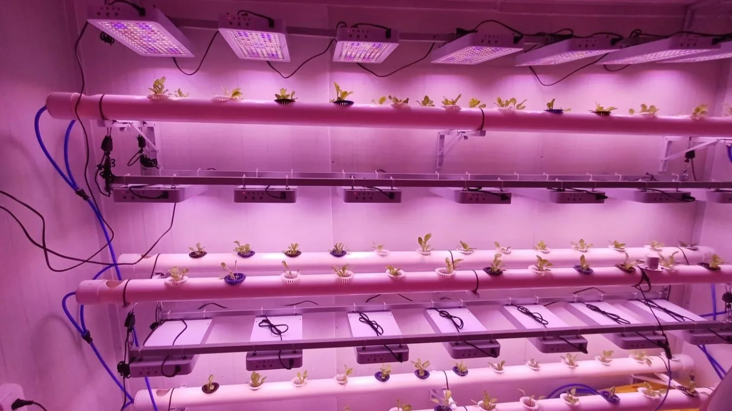 Guanajuato e Italia impulsan innovaciones con inteligencia artificial para el sector agrícola