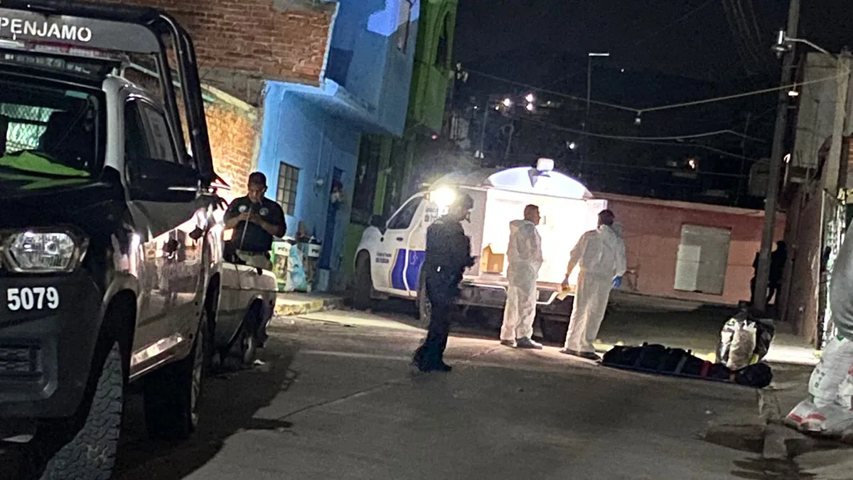 Hombre y su perro mueren en ataque armado en colonia Palo Blanco, Pénjamo