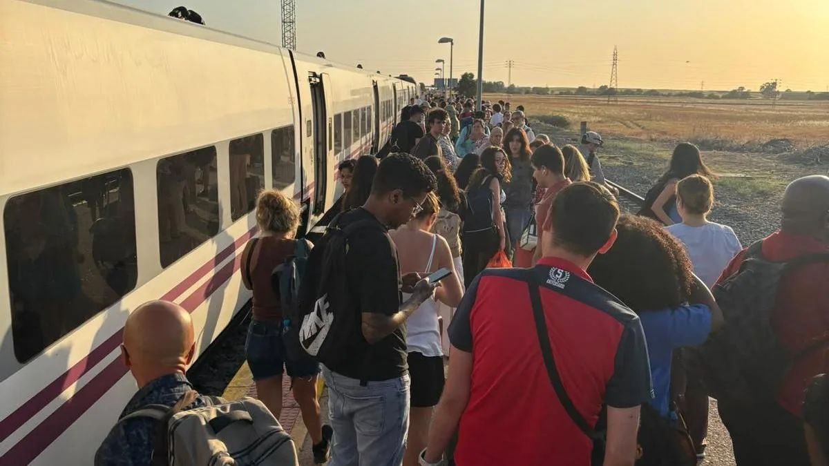 Robo de cableado deja varados a pasajeros del tren Alvia entre Badajoz y Madrid